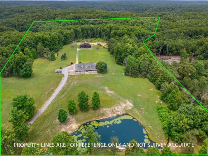 Listing Image 54