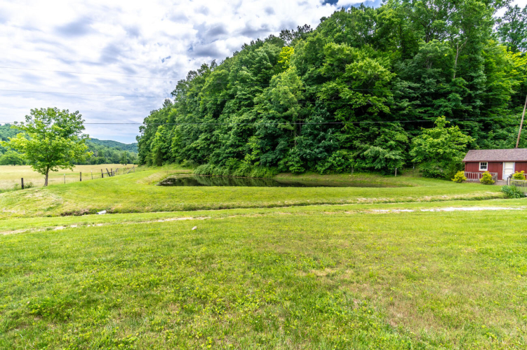 Listing Image 68