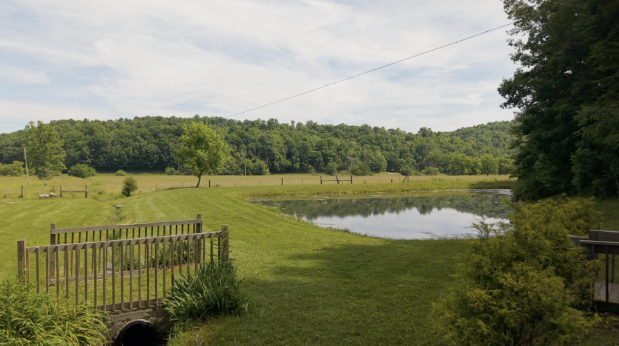 Listing Image 85