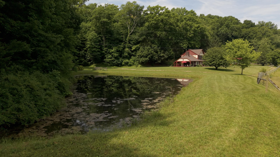 Listing Image 91