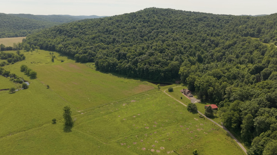 Listing Image 89