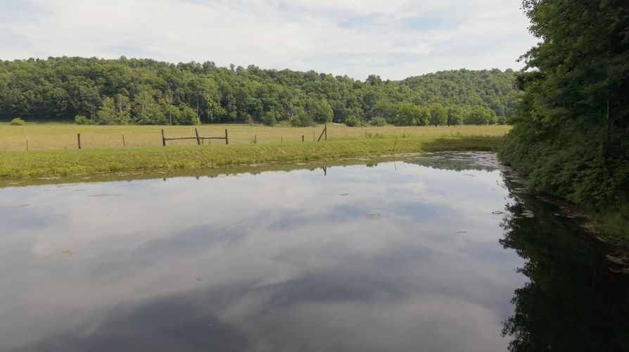 Listing Image 90