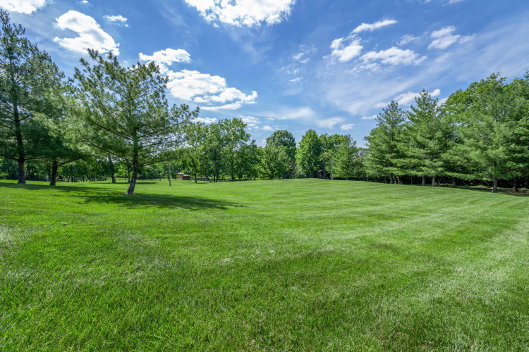Listing Image 115