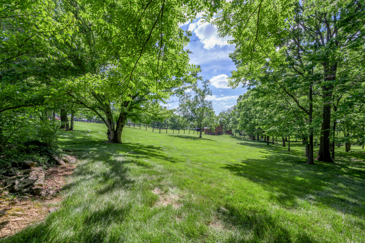 Listing Image 117