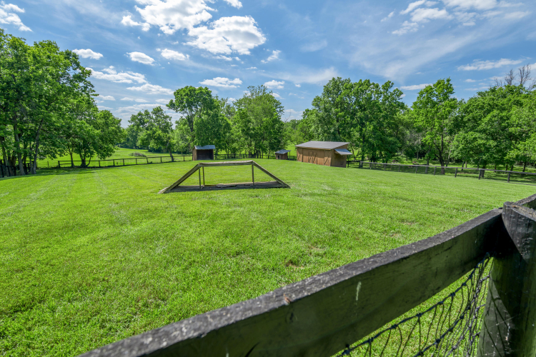 Listing Image 118