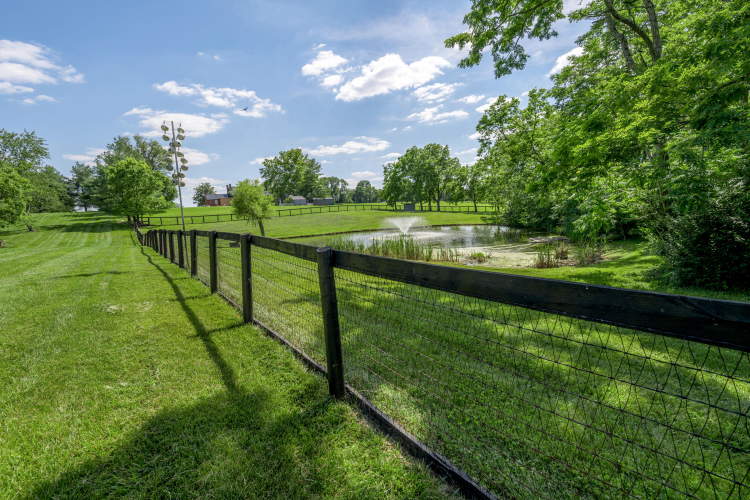 Listing Image 119