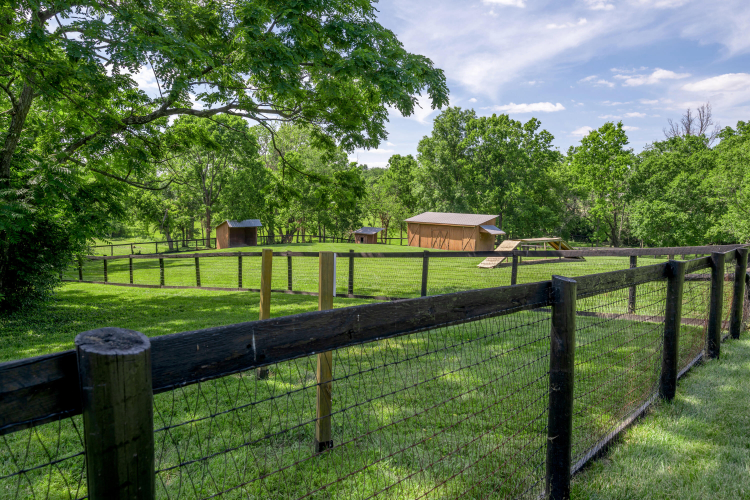 Listing Image 120