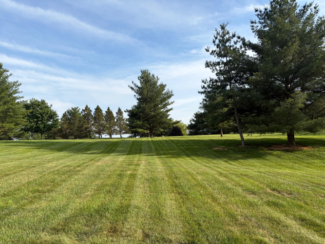 Listing Image 136