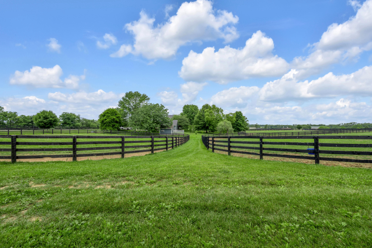 Listing Image 121