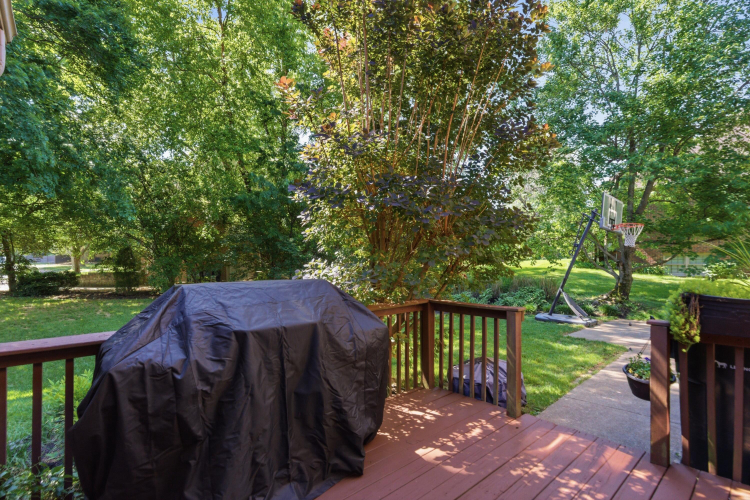 Listing Image 50
