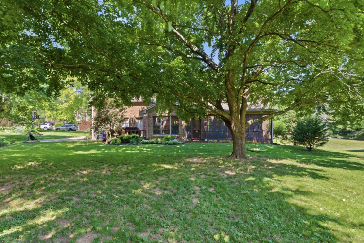 Listing Image 53