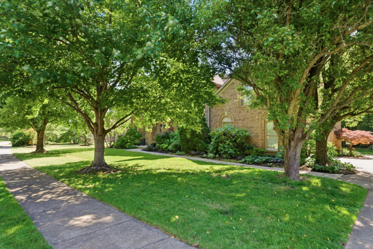 Listing Image 55