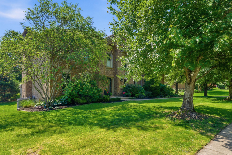 Listing Image 56
