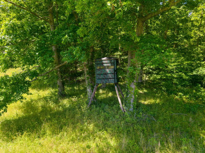 Listing Image 51