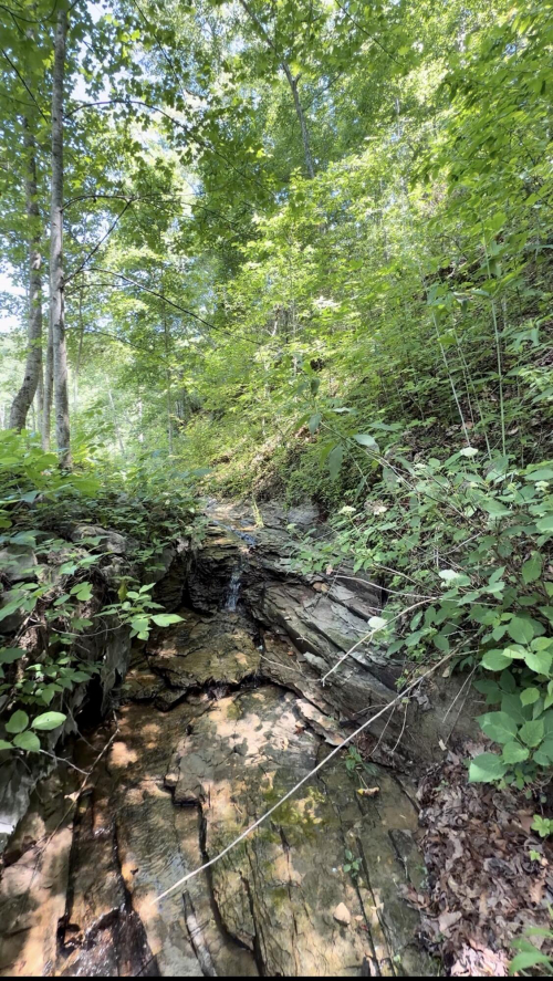 Listing Image 53