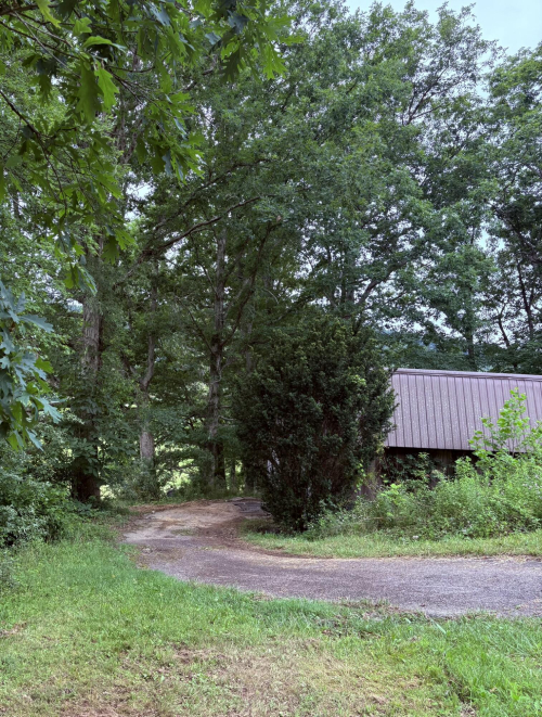 Listing Image 63