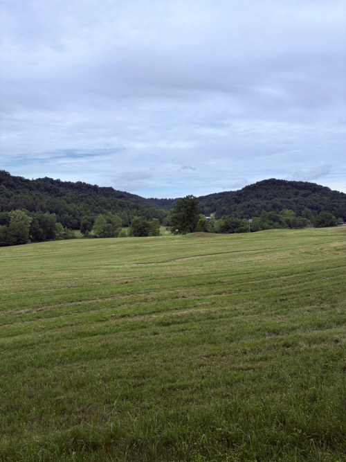 Listing Image 69