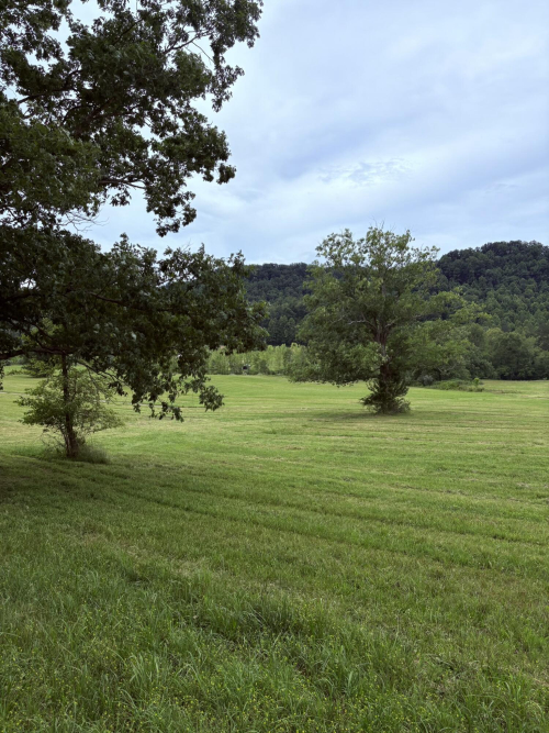 Listing Image 70
