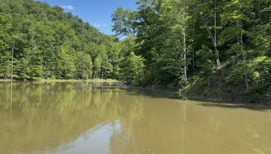 Listing Image 10