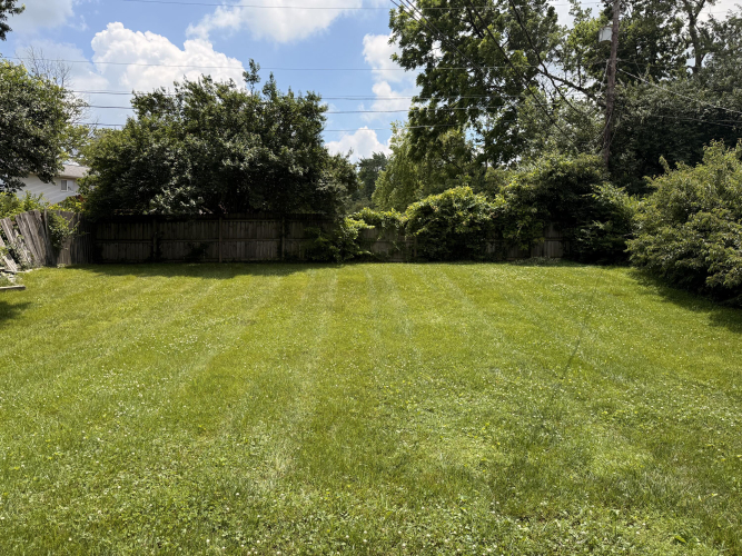 Listing Image 32
