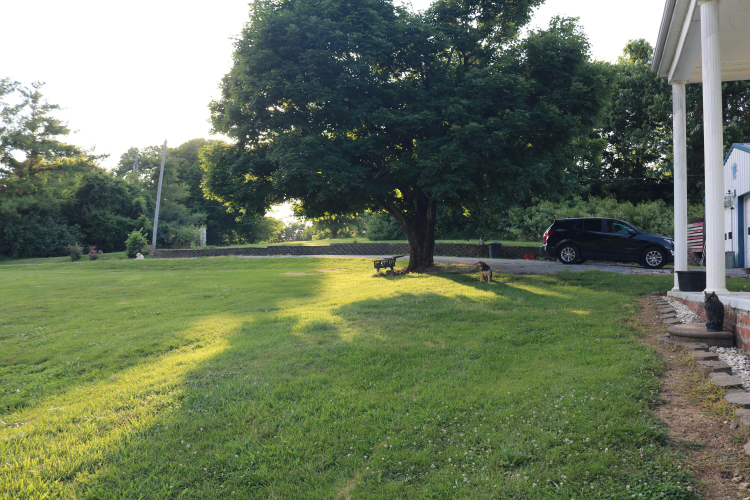 Listing Image 56