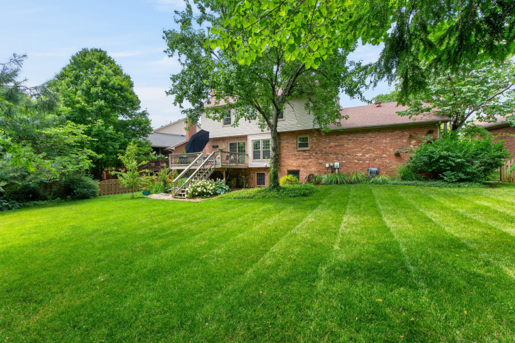 Listing Image 34