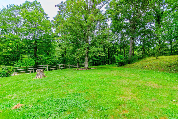 Listing Image 47
