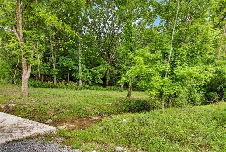 Listing Image 88