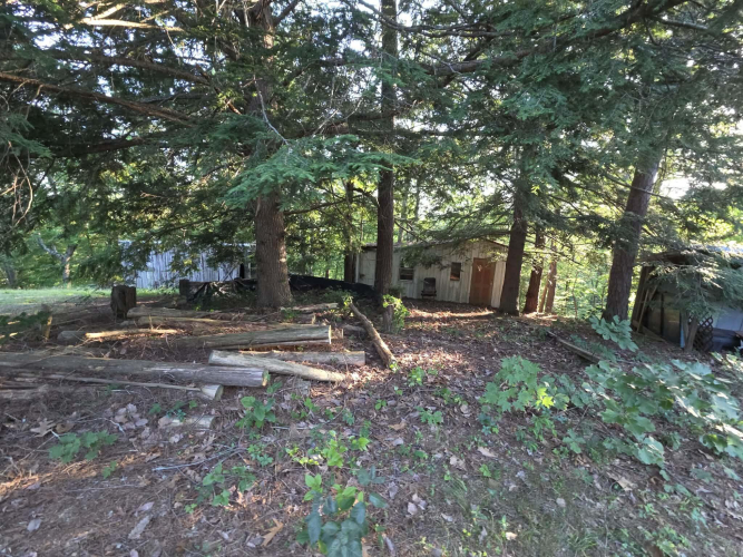 Listing Image 32