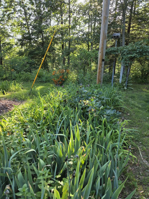 Listing Image 7