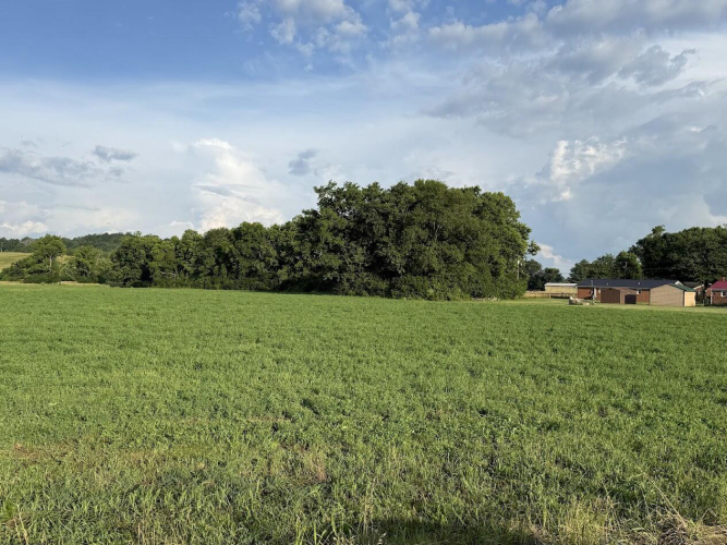 Listing Image 9