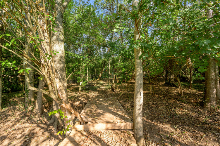 Listing Image 61