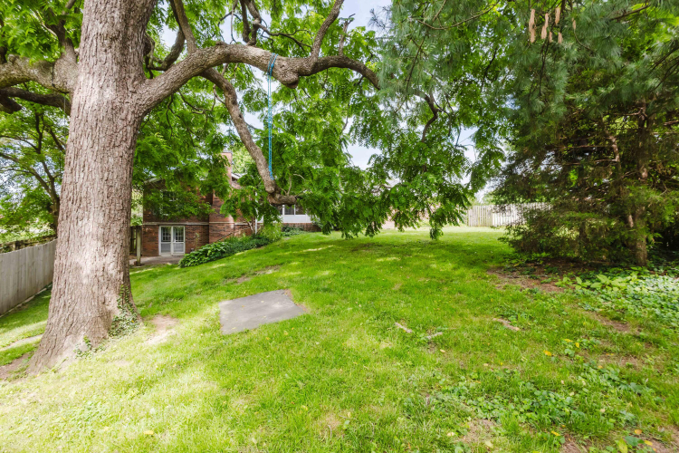 Listing Image 48