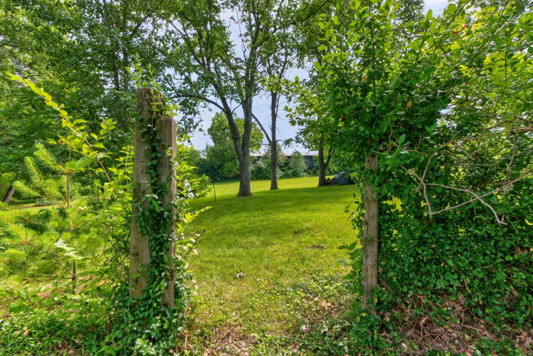 Listing Image 33