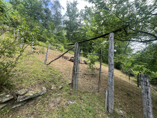 Listing Image 31