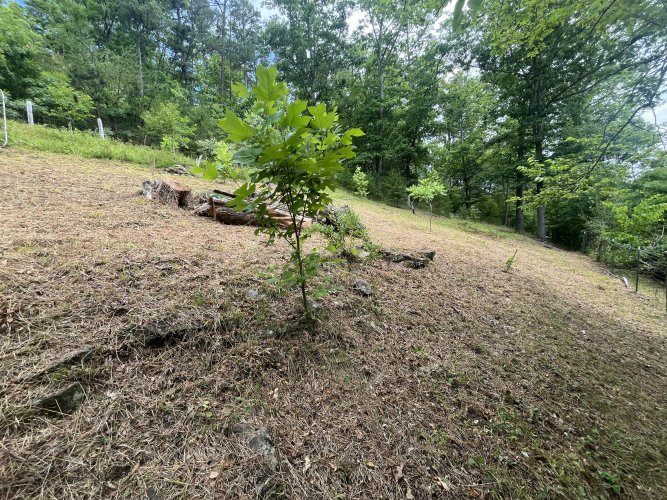 Listing Image 33
