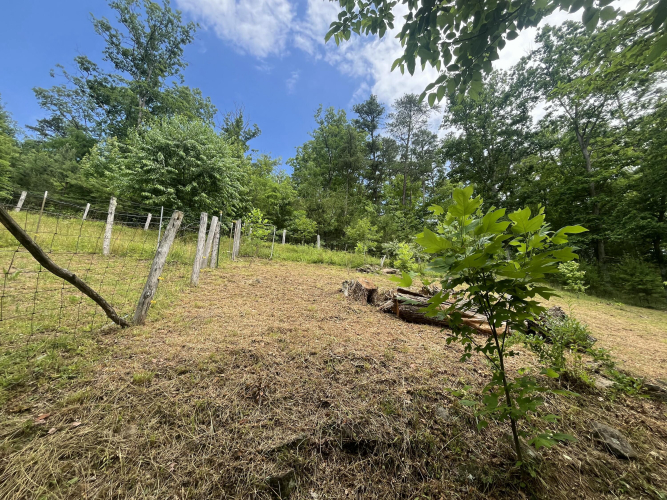 Listing Image 34