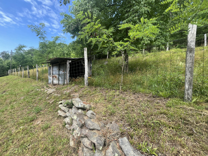 Listing Image 35