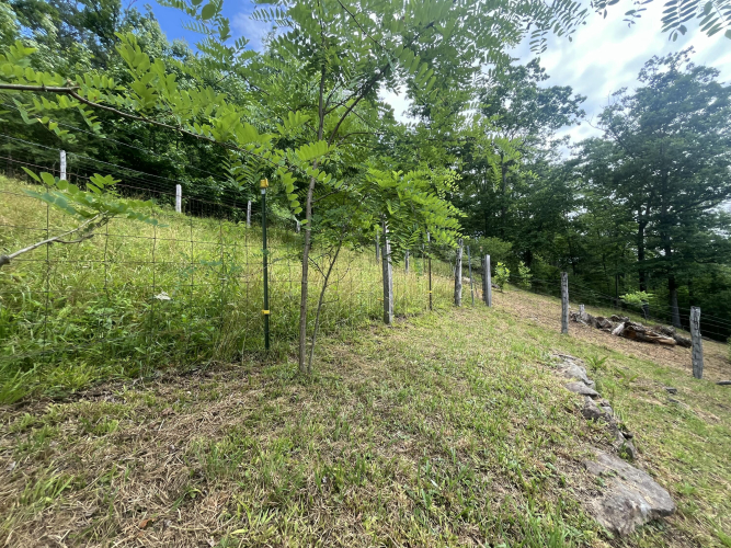 Listing Image 36