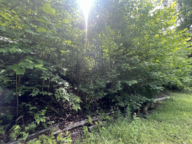Listing Image 41