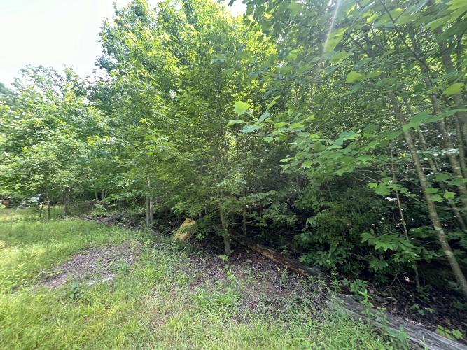 Listing Image 42