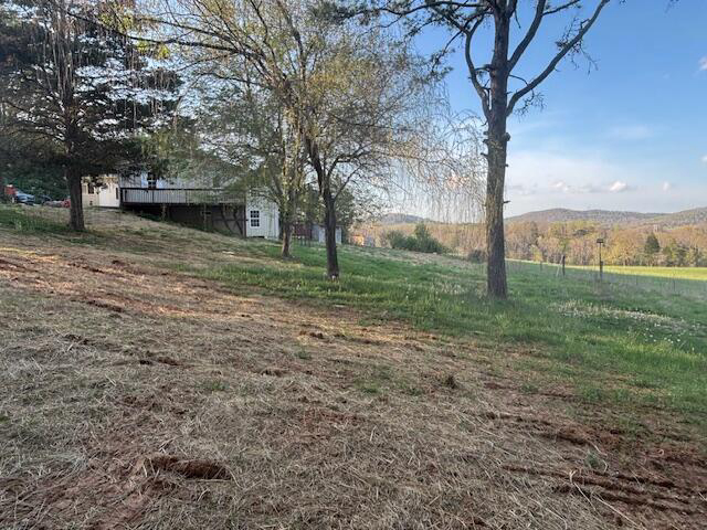 Listing Image 64