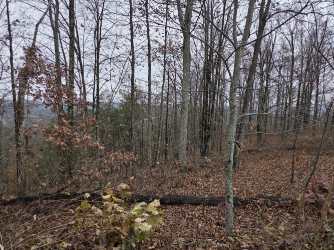 Listing Image 17