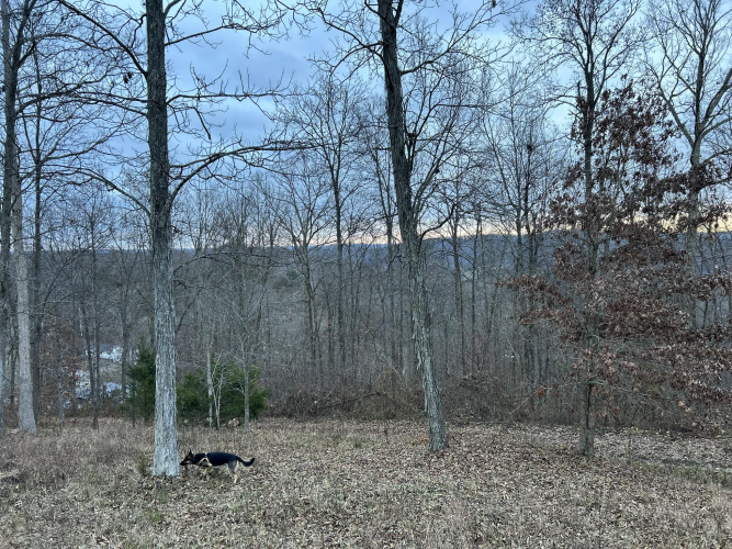 Listing Image 29