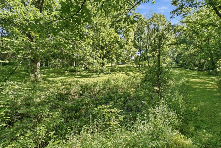 Listing Image 45