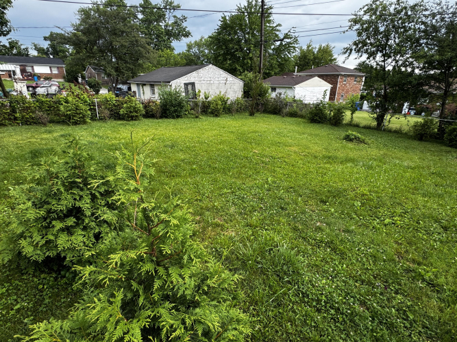 Listing Image 30