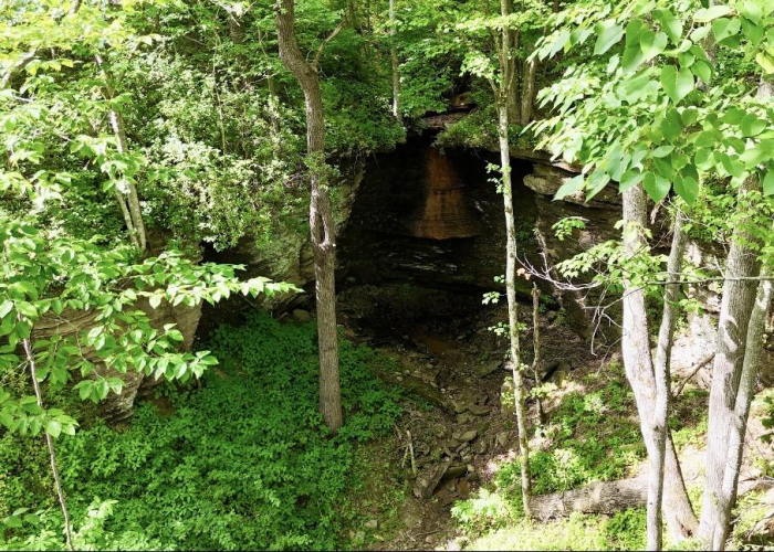 Listing Image 6