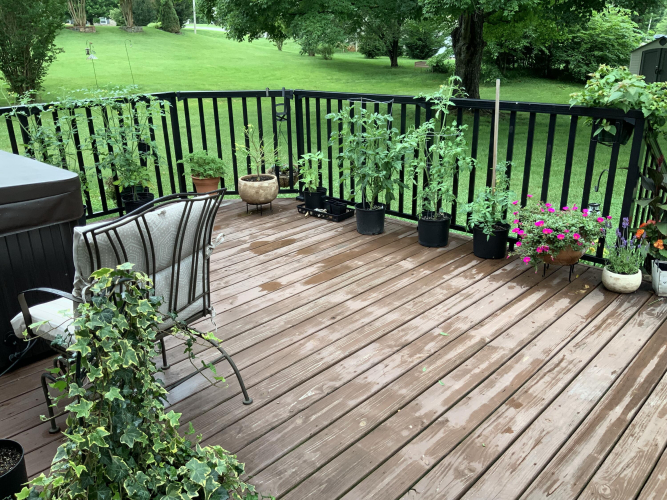 Listing Image 21