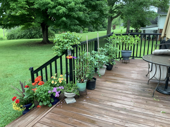 Listing Image 23