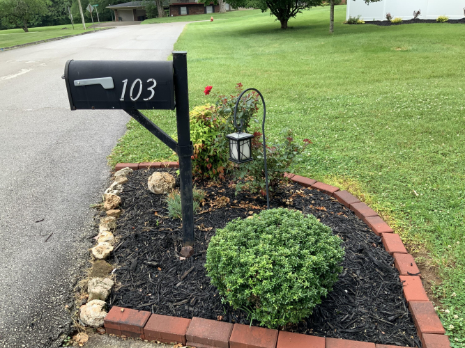 Listing Image 5